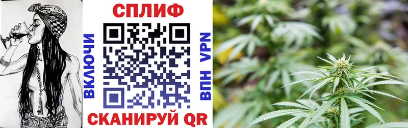 магазин  наркотиков  mega зеркало  Бошки марихуана MAZAR  Аша 